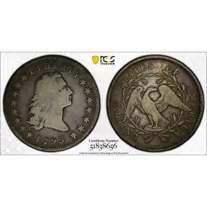 1795 $1 Flowing Hair, 2 Leaves (2)