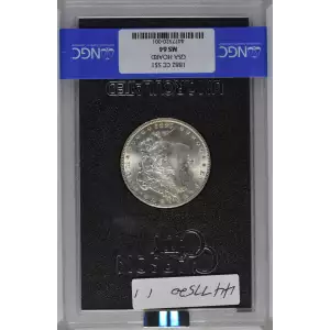 1882 GSA HOARD (2)