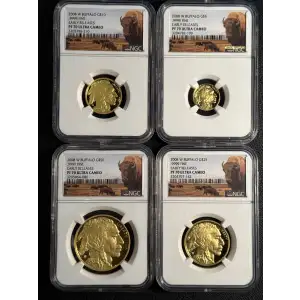 2008 W .9999 FINE EARLY RELEASES ULTRA CAMEO