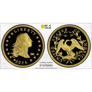 2024 $1 Flowing Hair Au with Privy High Relief 230th Anniversary, DCAM (2)