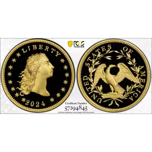 2024 $1 Flowing Hair High Relief Au 230th Anniversary, DCAM (2)