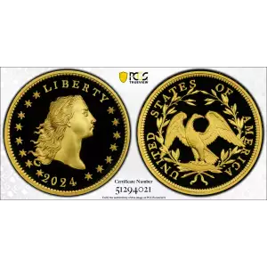 2024 $1 Flowing Hair High Relief Au 230th Anniversary First Strike, DCAM (2)