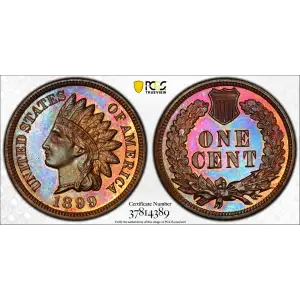 1899 1C, BN (2)