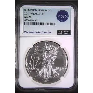 2017 W BURNISHED SILVER EAGLE (2)