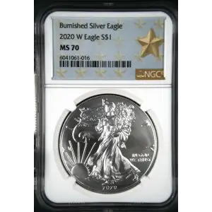 2020 W Burnished Silver Eagle (2)