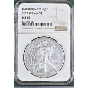 2022 W Burnished Silver Eagle (2)