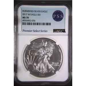 2017 W BURNISHED SILVER EAGLE (2)