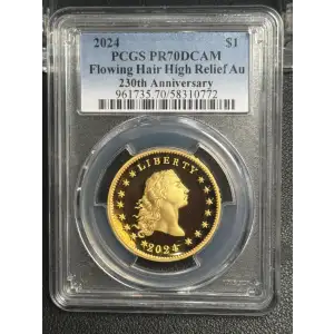 2024 $1 Flowing Hair High Relief Au 230th Anniversary, DCAM