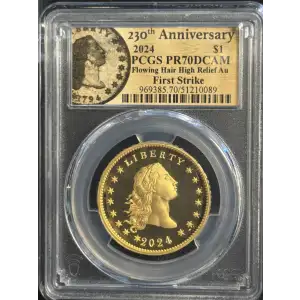 2024 $1 Flowing Hair High Relief Au 230th Anniversary First Strike, DCAM