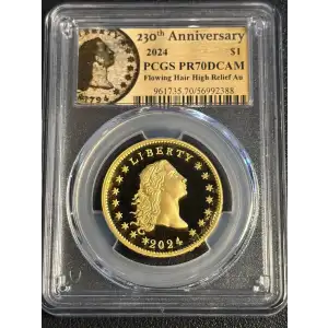 2024 $1 Flowing Hair High Relief Au 230th Anniversary, DCAM