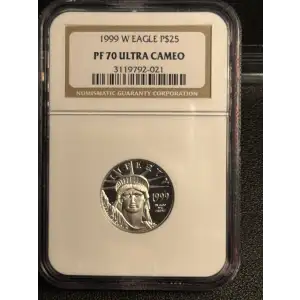 1999 W  ULTRA CAMEO