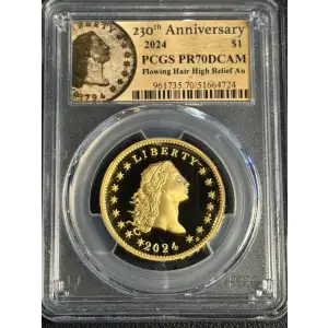 2024 $1 Flowing Hair High Relief Au 230th Anniversary, DCAM