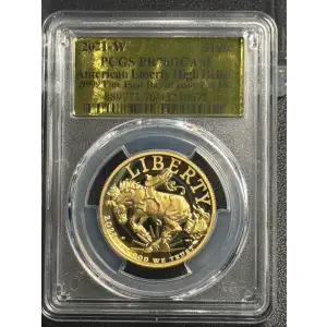High Relief $100 Gold